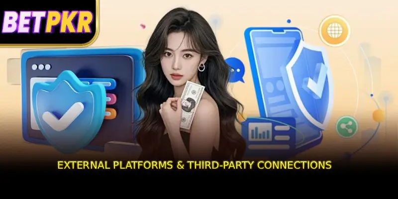 External Platforms & Third-Party Connections