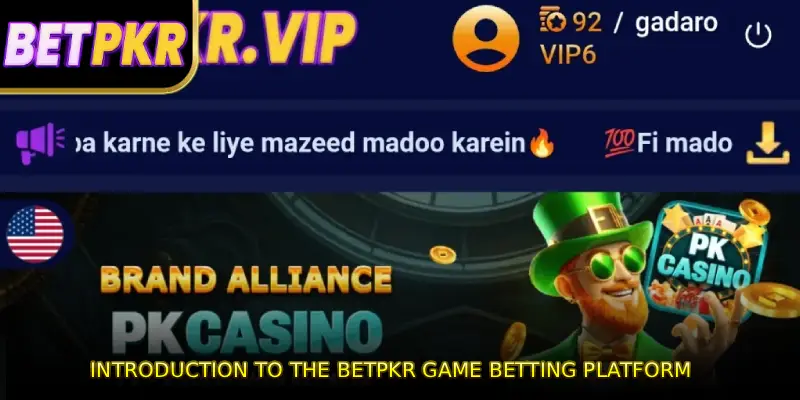 Introduction to the BETPKR GAME betting platform